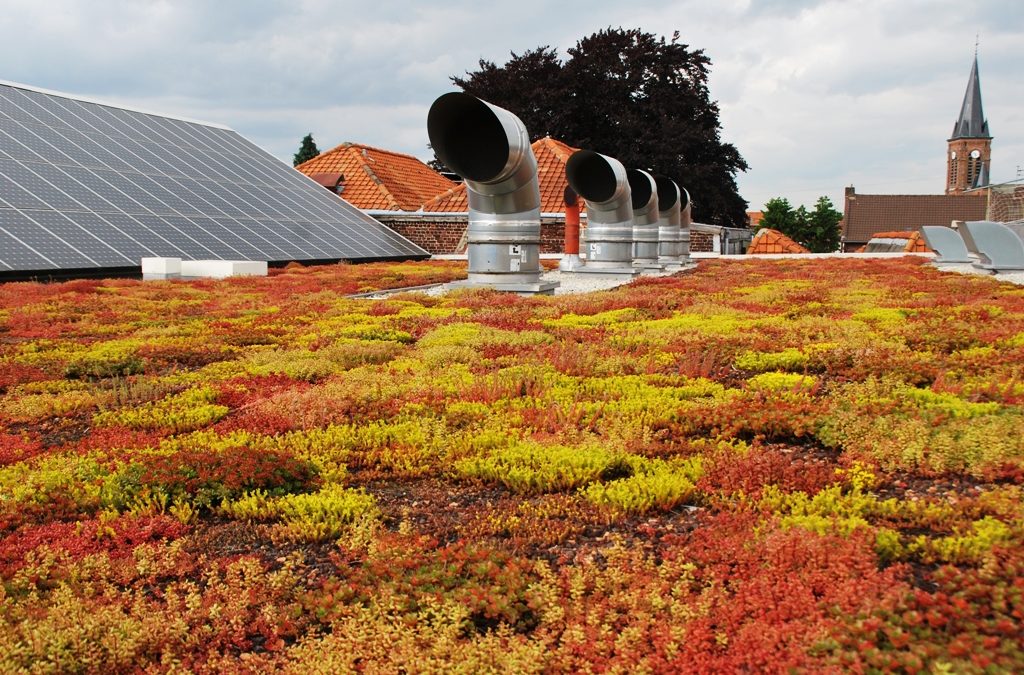 Entreprendre sans détruire avec l’écolonomie