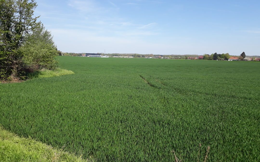 ZACC Morel , place à l’enquête publique