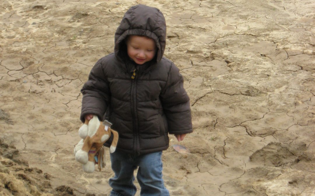 LE PLAN ‘SOPHIA’ – Un plan de transition pour la Belgique pour une relance durable post-Covid-19